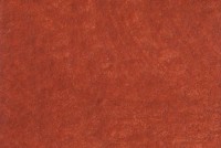Burnt Sienna