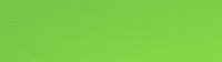 Green yellow #554